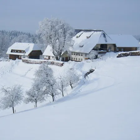 Brosihof Lejlighed