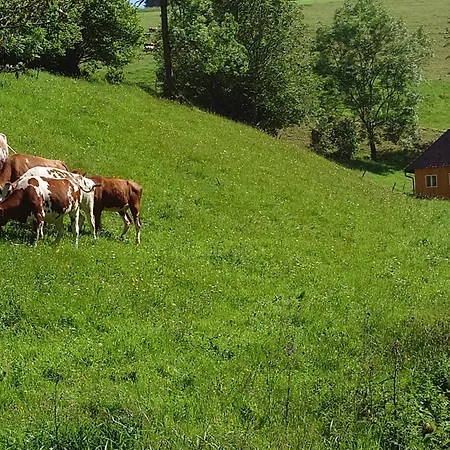 Brosihof Erlenbach (Baden-Wurttemberg)